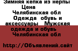 Зимняя кепка из нерпы › Цена ­ 1 500 - Челябинская обл. Одежда, обувь и аксессуары » Мужская одежда и обувь   . Челябинская обл.